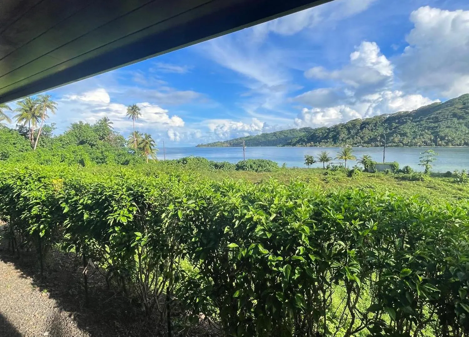 Fare Para Vaitoare  Vaitoare (Tahaa)